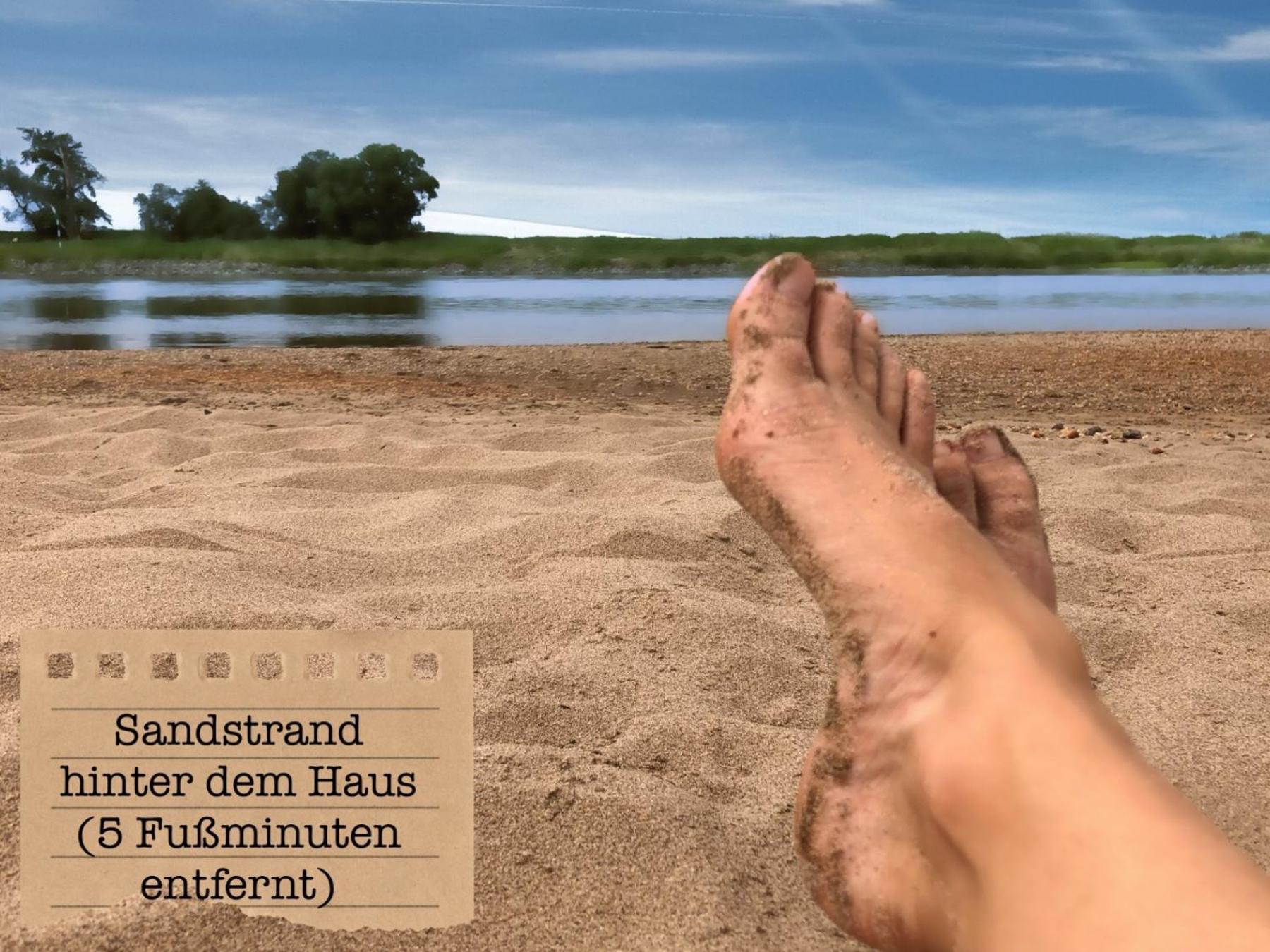 Ferienwohnungen „Zur Alten Schule“ direkt an der Elbe Wittenberg Exterior foto