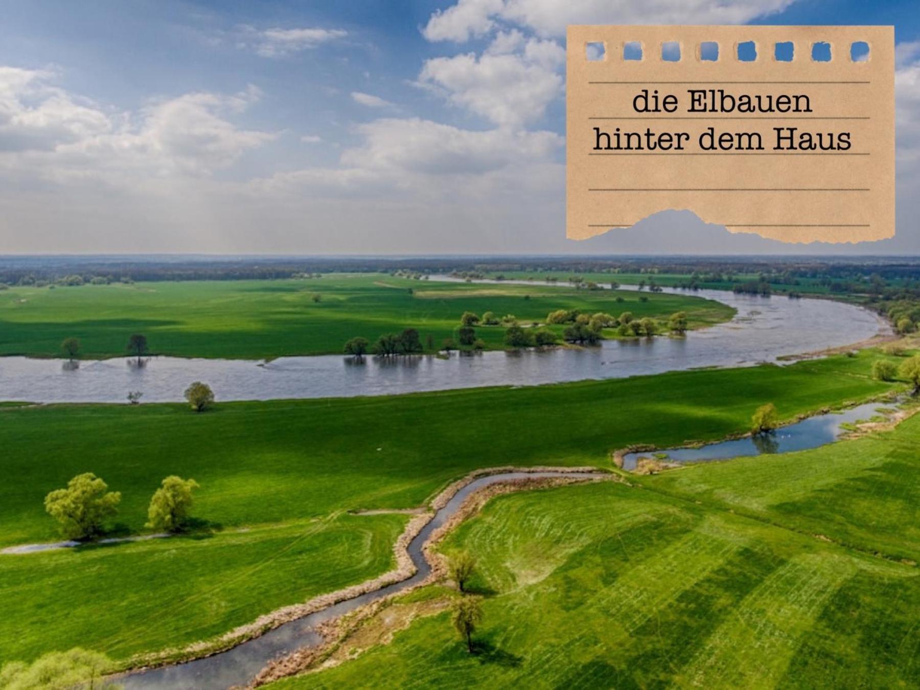 Ferienwohnungen „Zur Alten Schule“ direkt an der Elbe Wittenberg Exterior foto