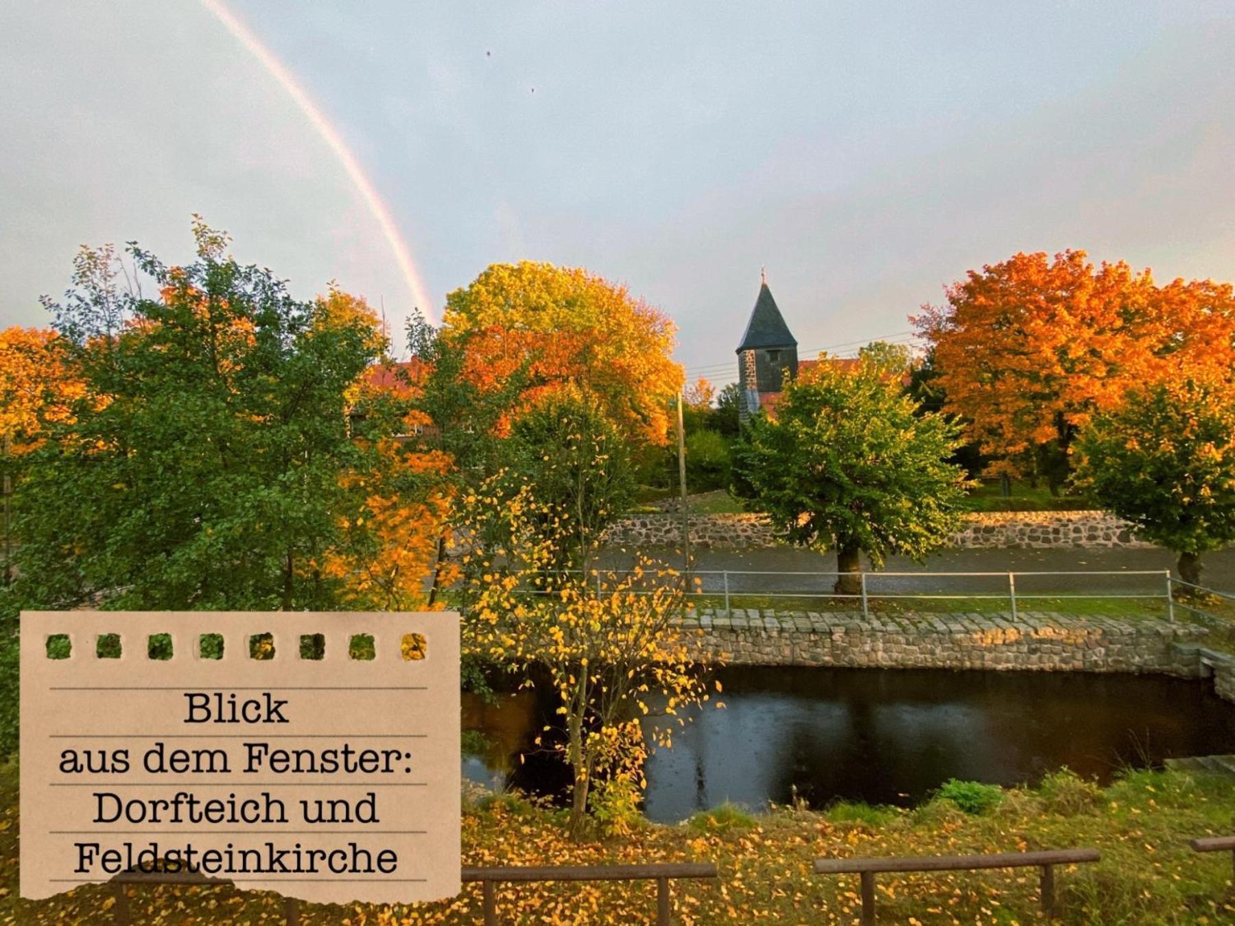Ferienwohnungen „Zur Alten Schule“ direkt an der Elbe Wittenberg Exterior foto
