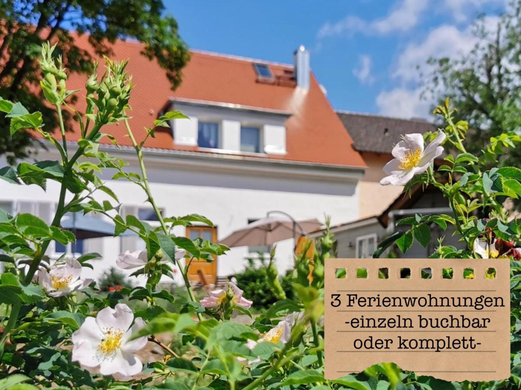Ferienwohnungen „Zur Alten Schule“ direkt an der Elbe Wittenberg Exterior foto
