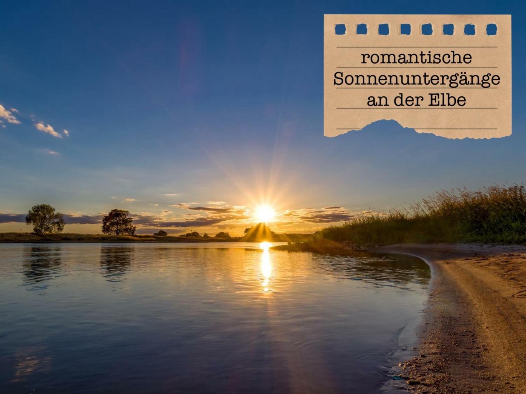 Ferienwohnungen „Zur Alten Schule“ direkt an der Elbe Wittenberg Exterior foto