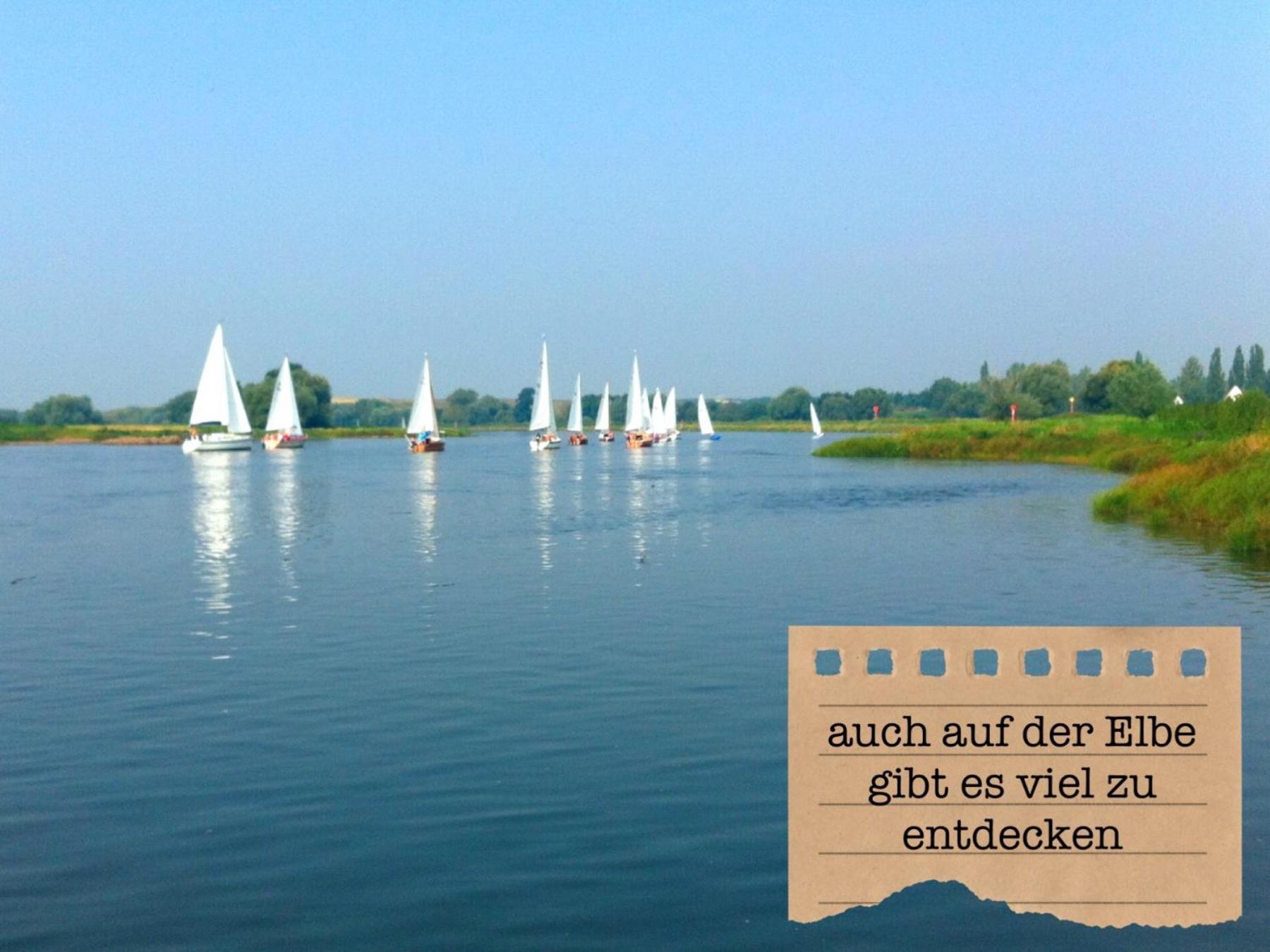Ferienwohnungen „Zur Alten Schule“ direkt an der Elbe Wittenberg Exterior foto