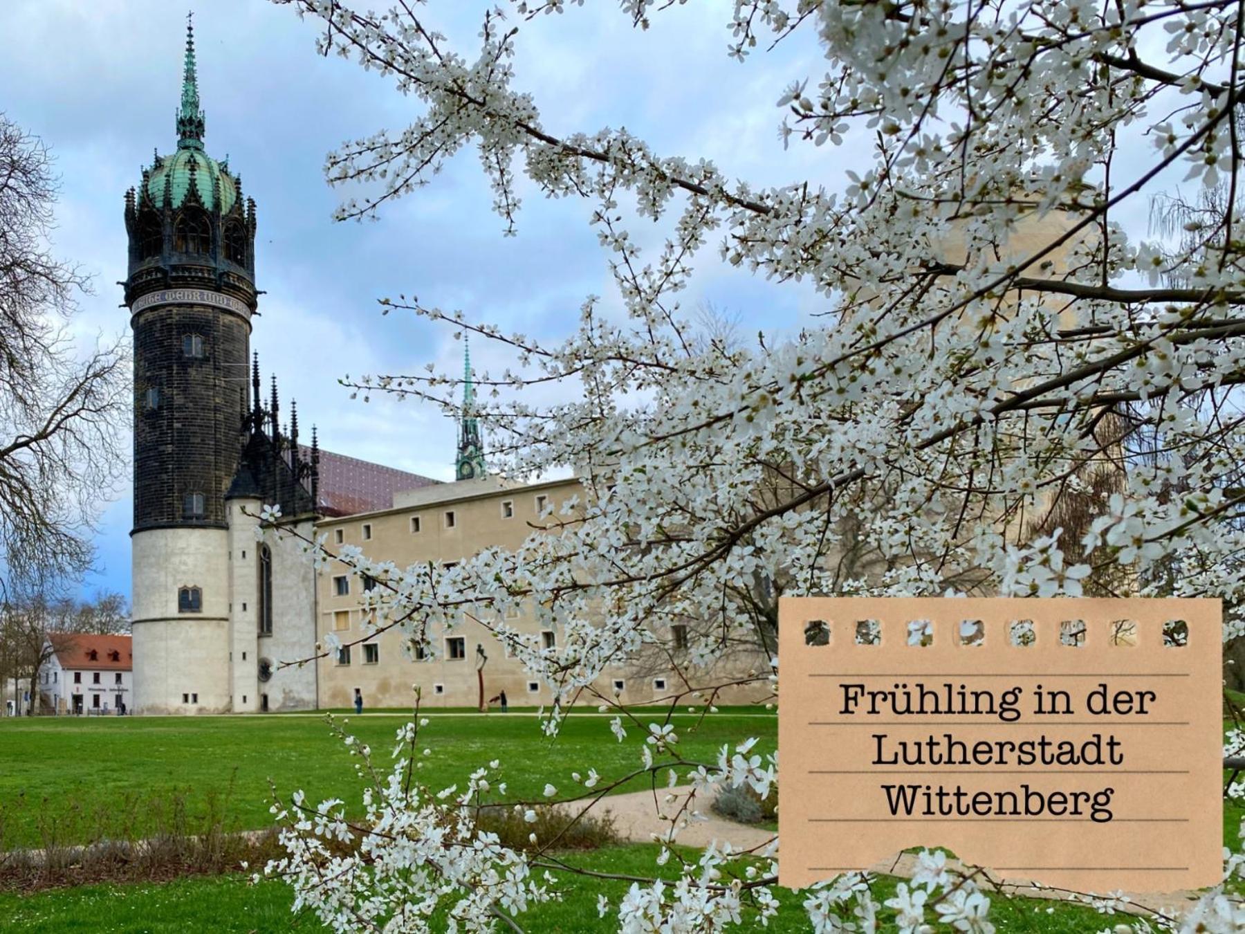 Ferienwohnungen „Zur Alten Schule“ direkt an der Elbe Wittenberg Exterior foto